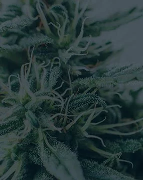 Warren RI Drug Possession Charges
