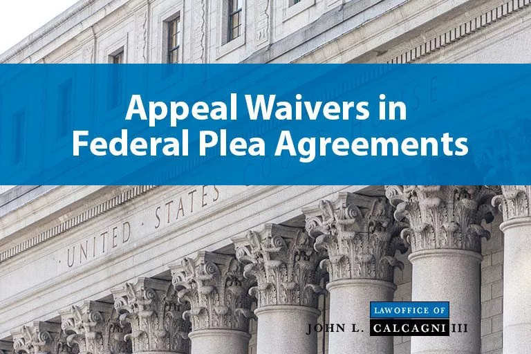 Appeal Waivers in Federal Plea Agreements