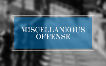Miscellaneous Offenses